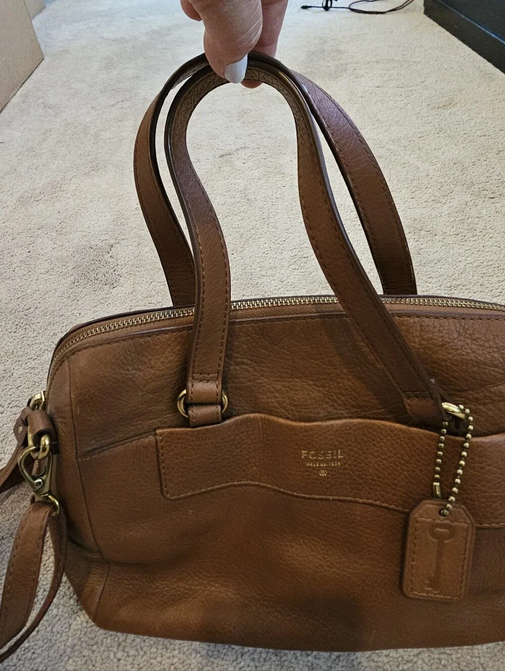 Fossil medium brown